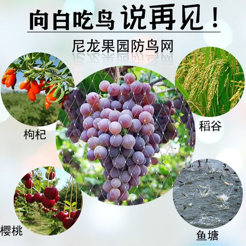 热销果园防鸟用i的网果树大棚丝网菜园种菜防鸟鱼池养殖网草莓葡
