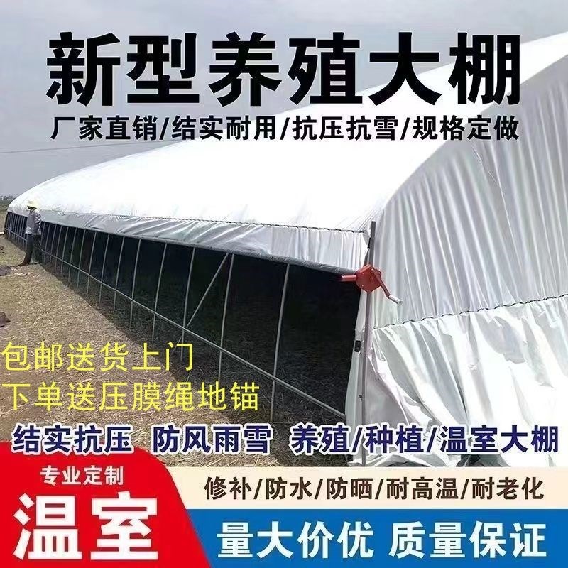 热销养殖大棚养鸡棚猪棚牛棚羊棚鸭D棚鹅棚兔棚全套养殖棚冬暖夏 - 实物图