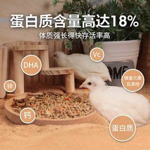 速发芦丁鸡产蛋粮鸡饲料营养口蛋食物大小芦丁鸡鸡产粮芦丁开鹌鹑
