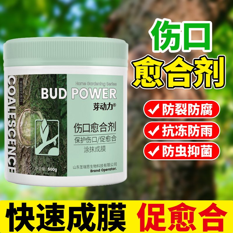 速发植物树木涂树剂盆景树枝剪枝树桩树皮嫁果切口修复接抹膏