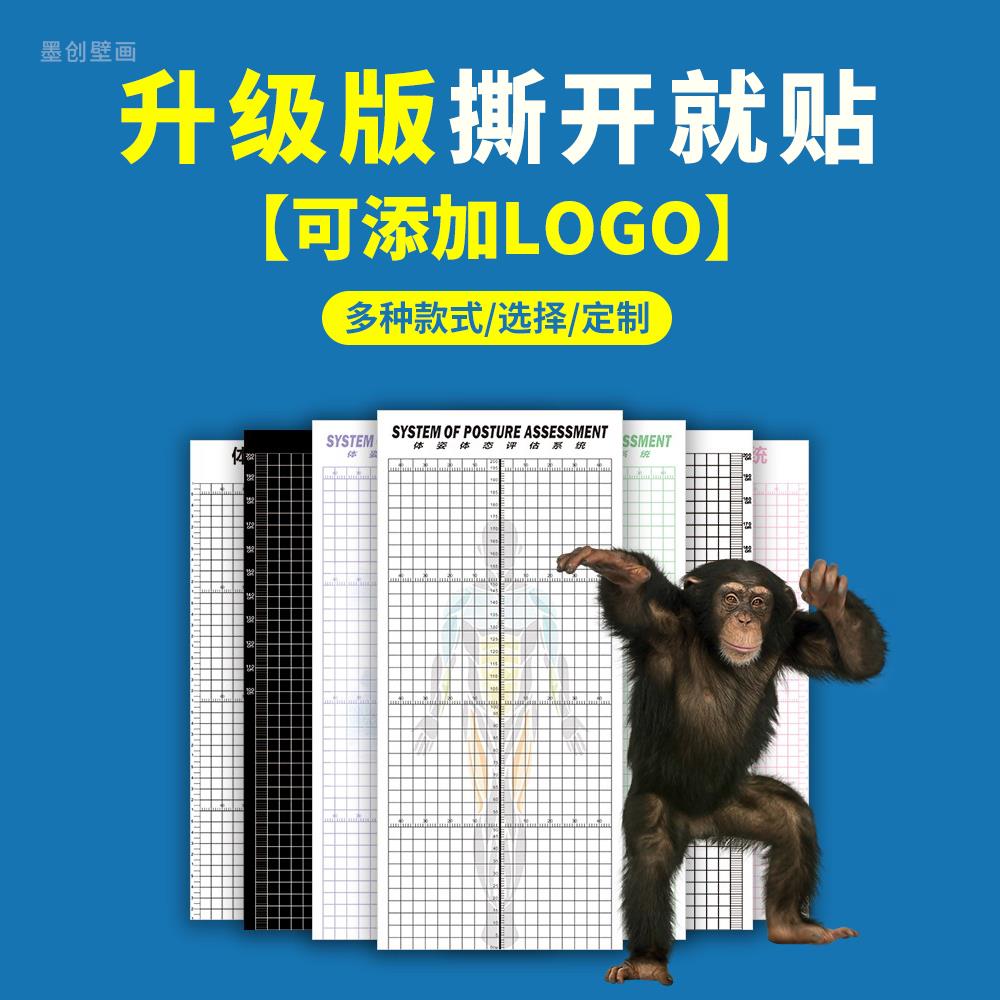 自粘体态评估表健身房工作室背景墙卧室自用私教瑜伽馆简约测量图