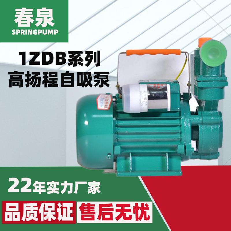 1ZDB35高扬程自吸水泵1ZDB45家用增压水泵家用井水抽水机