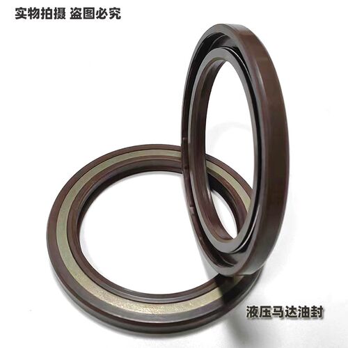 德国CFW型氟胶骨架油封BABSLsimrit高压油泵液压机器马达密封防水