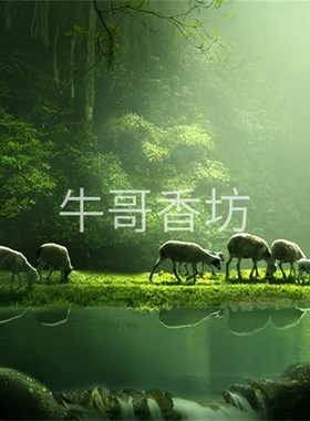 极速新款画片h照片明信片打印各种尺寸全国发货3a382