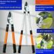 修枝剪粗枝剪高枝剪树枝剪刀果树剪园艺剪刀伸缩大力剪园林大剪刀
