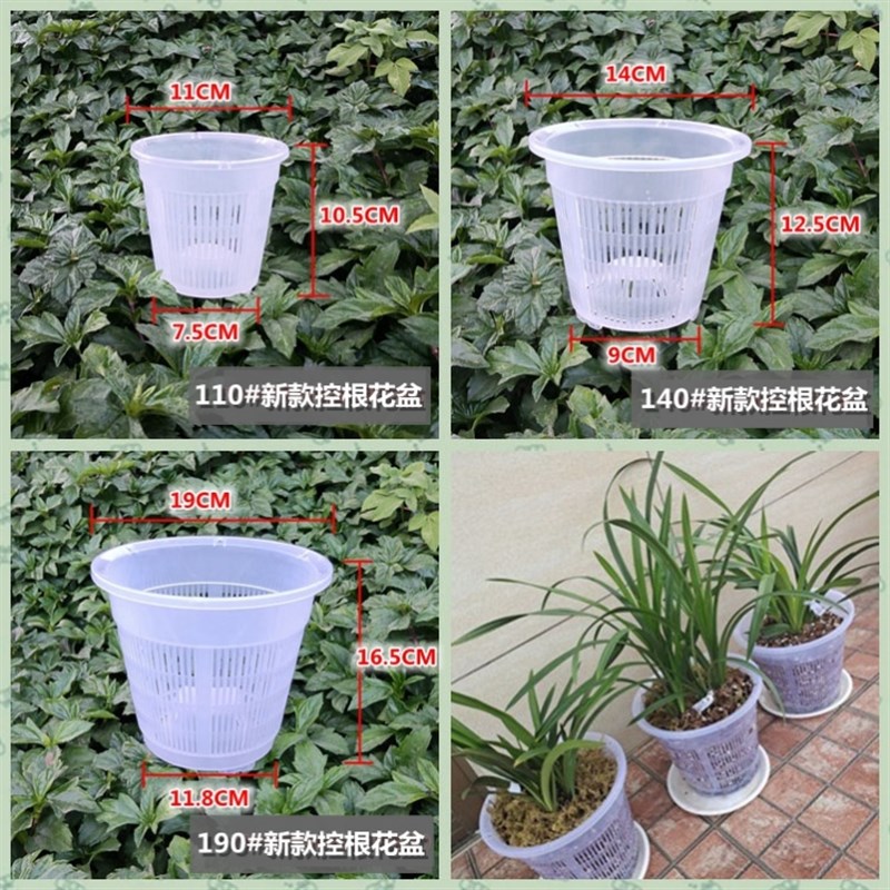 极速鱼缸绿e植水培植物固定架杯蓝铜钱草定植器定植盆环架水环篮