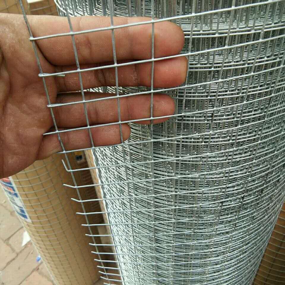 极速新款铁丝网格网片养鸡围栏网电焊网格小孔养殖网镀Z锌电焊网