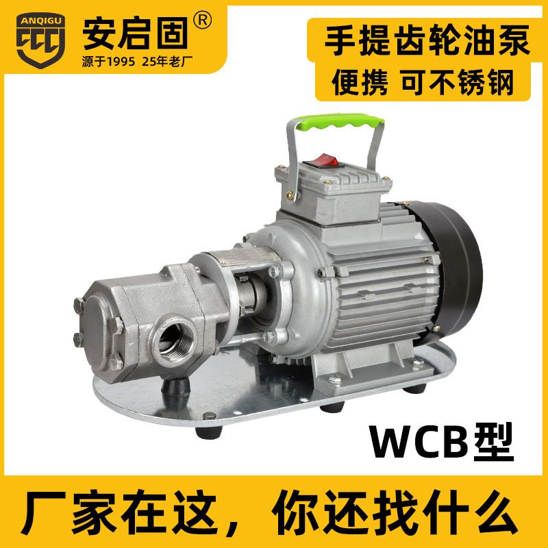 手提齿轮泵微型卸柴油液压机油220Cv小型不锈钢防爆wcb电动抽油泵