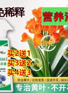 极速贝丽丝月g值植 贝丽斯月直植 贝利期月殖植营养液肥料园艺发