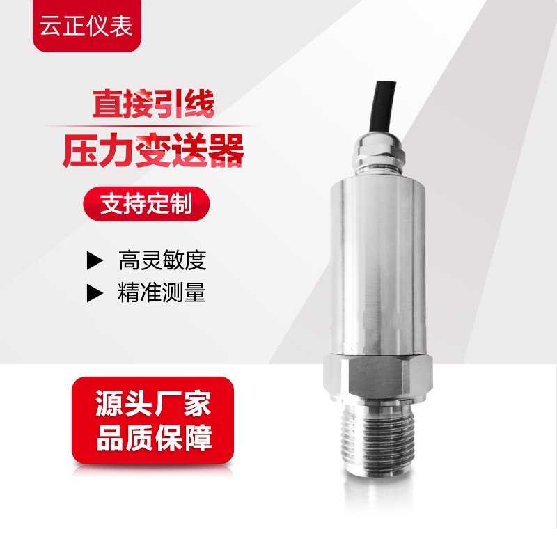 PS6000-CR-BZ-A1-B-0.6/CD1直接引线压力变送器传感器