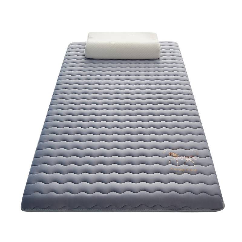 极速I学校d牀垫中学生宿舍住宿住校单人棕垫厚款高低牀垫高中生