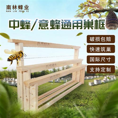 极速中蜂标准杉木成品巢框养蜂工具多尺寸可定做R散装巢框成品巢