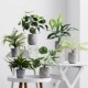 极速北欧仿真绿植龟背叶假花装 饰小盆栽假盆景植物客X厅办公室桌