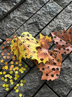 极速秋天树叶手工压花器小号打花B器diy相册创意压花器儿童益智打