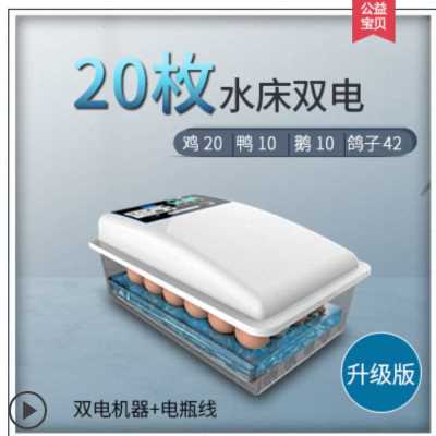 极速新枚孵化器孵化机孵蛋器家用型全自动小型Q迷你水床孵W化箱智