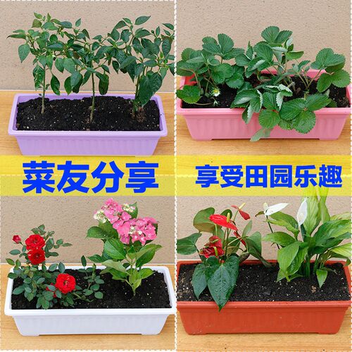 热销花边菜盆f长方形加厚庭院养花种菜阳台室内蔬菜种植大菜盆塑