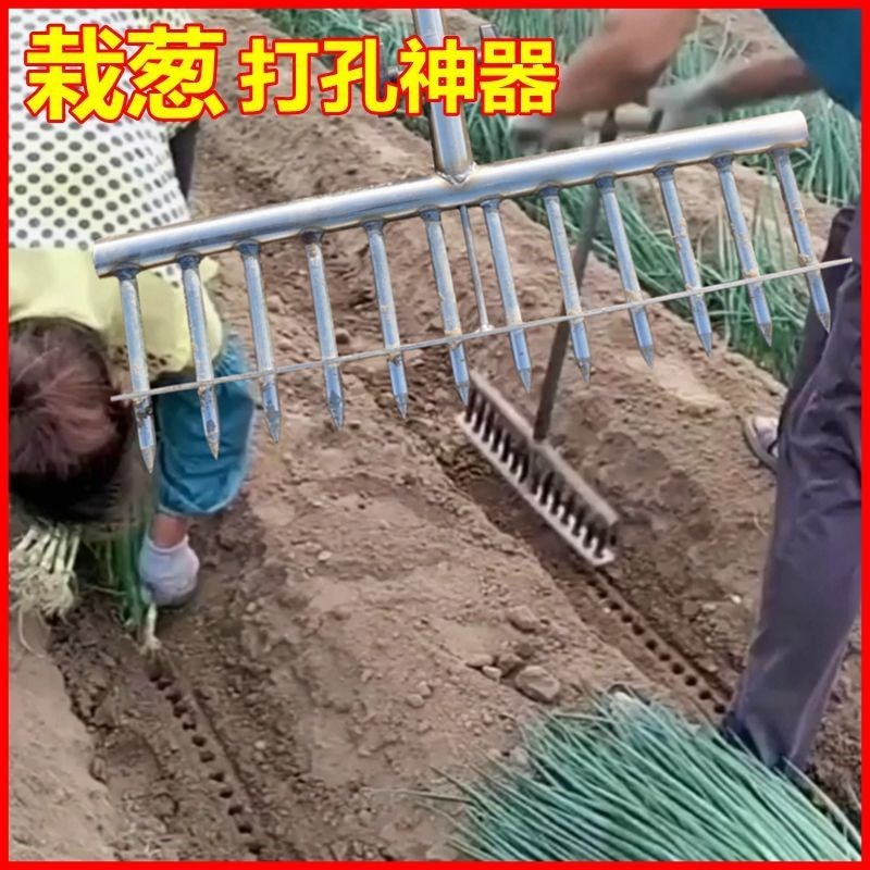 热销种葱神器大葱种植工具叉x子洋葱打眼打洞机移苗栽苗打孔器种