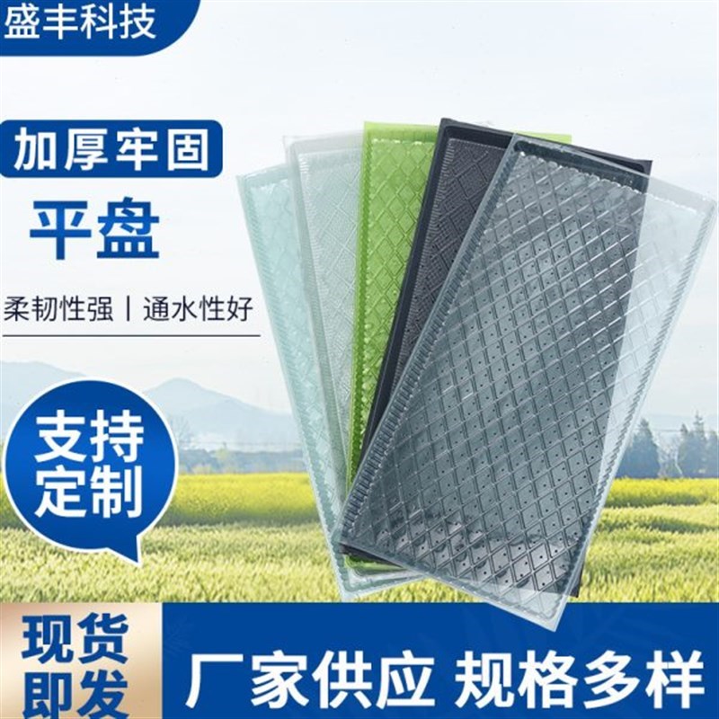 速发水稻苗平盘软盘 寸7寸育苗盘透明加厚插秧机盘水稻育秧盘