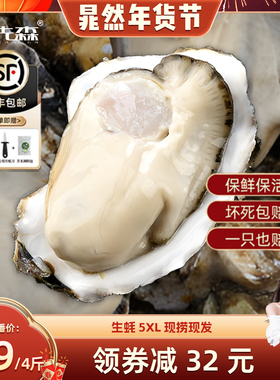 【晁然预售】生蚝鲜活5XL4斤净重整箱5斤毛重新鲜