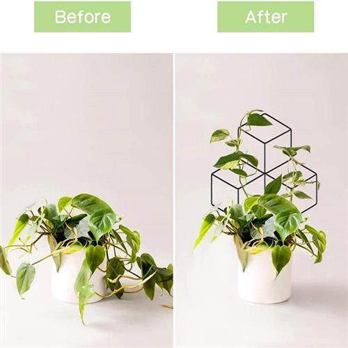 极速植物b攀爬架 铁线莲花盆支架 山乌龟雪莹花架爬藤架园艺支撑