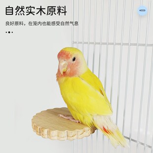 极速鹦鹉跳d台原木站台休息栖息平台牡丹玄凤虎皮小宠趣味玩耍玩