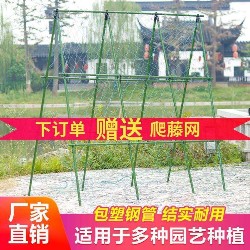极速种菜专用架子攀n爬植物家庭菜园艺花架葡萄豆角丝黄瓜爬藤神
