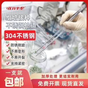 速发组4不锈钢0培枪镊加厚枪状镊子尖形镊接种器械弯镊枪头