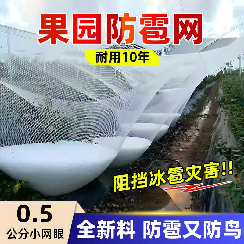 热销防雹网果园防鸟网葡萄网防冰雹专G用网尼龙网天网防护网全新