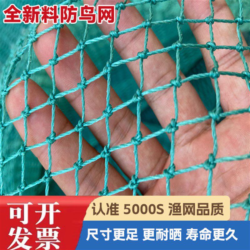 热销大棚尼龙线防鸟网养鸡u尼龙天网养殖网鱼塘果园防鸟网果树防