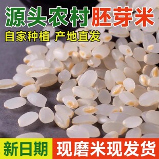 胚芽米5斤真空包装 东北大米2.5kg珍珠米2025年新米辅食粥米留胚米