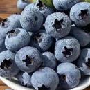 水果现摘现发1斤大果蓝莓 顺丰空运露天新鲜蓝莓孕妇儿童辅食当季