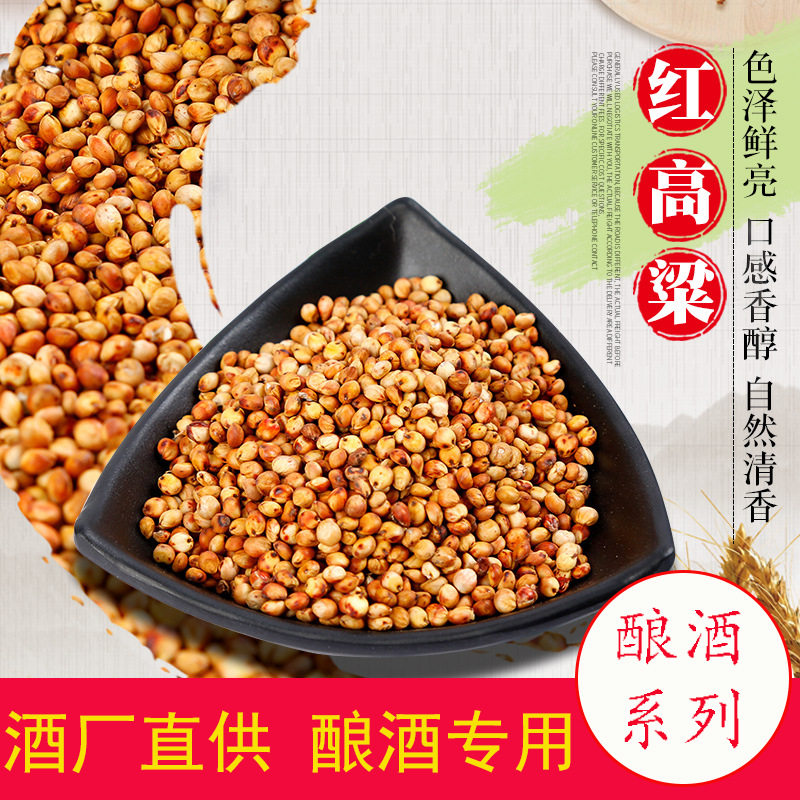 批发红高粱 酿酒红高粱小红粮 喂鸽子酿醋食品高粱100斤