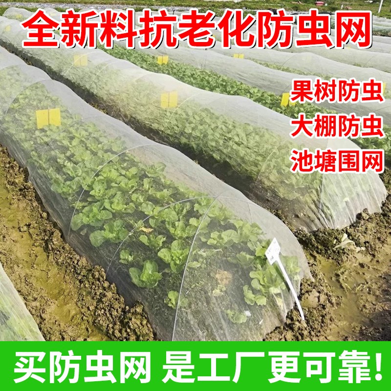热销农用防虫网大棚果树防虫纱网昆虫养殖厂防蚊网尼龙Y材质加厚