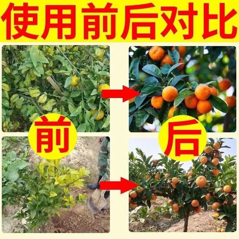 极速黄龙病ROS ros黄q龙病黄化 ROS一217溶水不堵柑橘柚子ROS输液