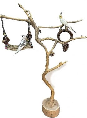 极速装干树枝原杈干枯鸟型架木造鹦鹉站架NMBM艺术干枝木树干架吊