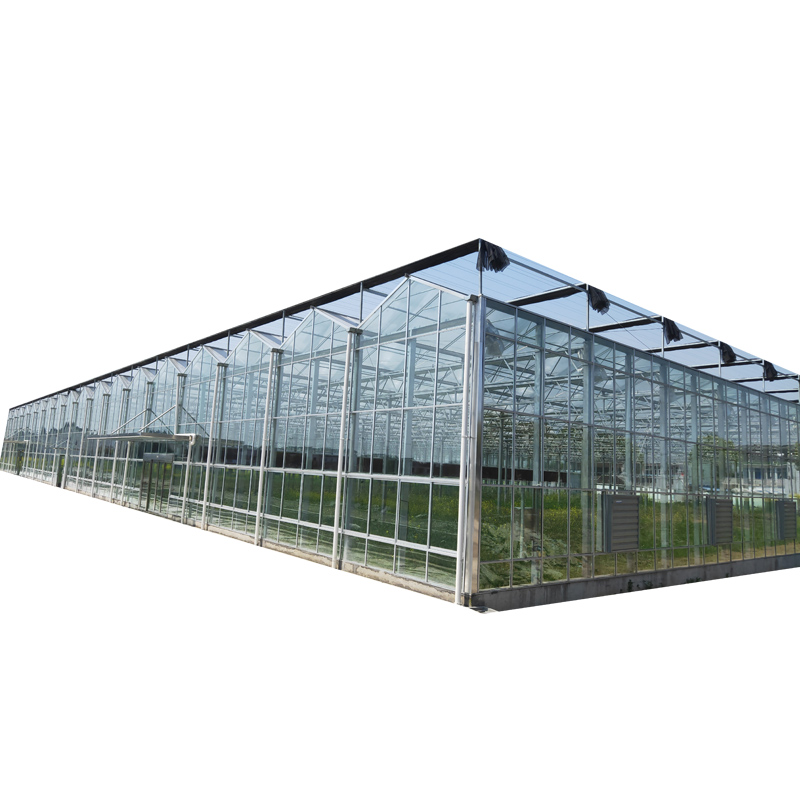 极速玻璃温室大棚骨架钢管智能控制系统花卉农业S蔬菜玻璃大棚配