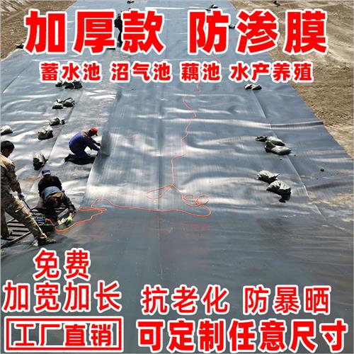 极速鱼塘防渗膜防水l布防漏膜护坡水产养殖黑色塑料膜土工膜HDPE