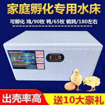 极速新品新品f水床孵化器家用型鸡鸭鹅孵化机55枚小型90枚卵蛋箱