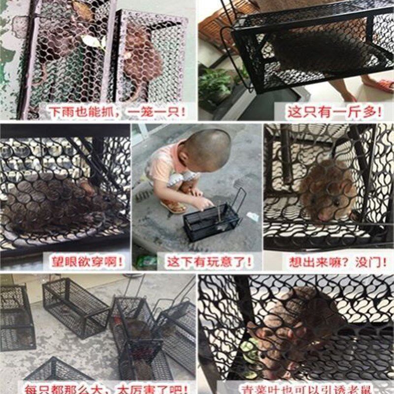 极速Household mouse-trap ratP trap mouse trap suSb mousetrap