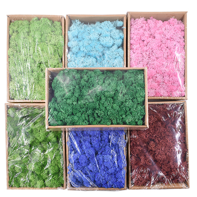 极速High Quality Artificial GreeCn Plant Immortal Fake Flowe