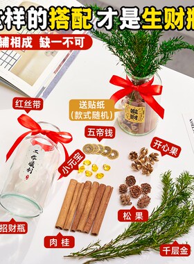 新品肉桂生财摆件办公室装饰摆件桌面情绪稳定神T器治愈招财旺宅