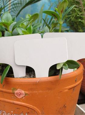 极速100PCS  Plant Tag T-type Plastic Labels NQursery Garden