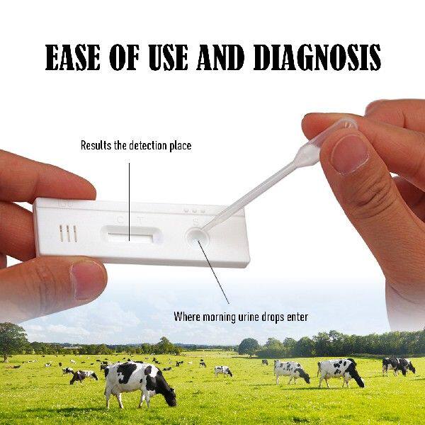 极速Cow Pregnancy Test Strip, 3 x 0.9 InchP Cow Pregnancy