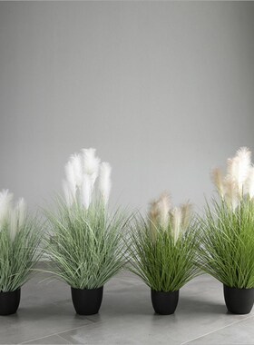 新品【芈阳】仿真蒲苇草大u型盆景 芦苇蒲草水烛装饰摆件绿植橱窗