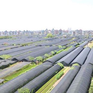 极速Thicken HDPE Fa AntiUV Pergola Sun Shade Net CZanopy