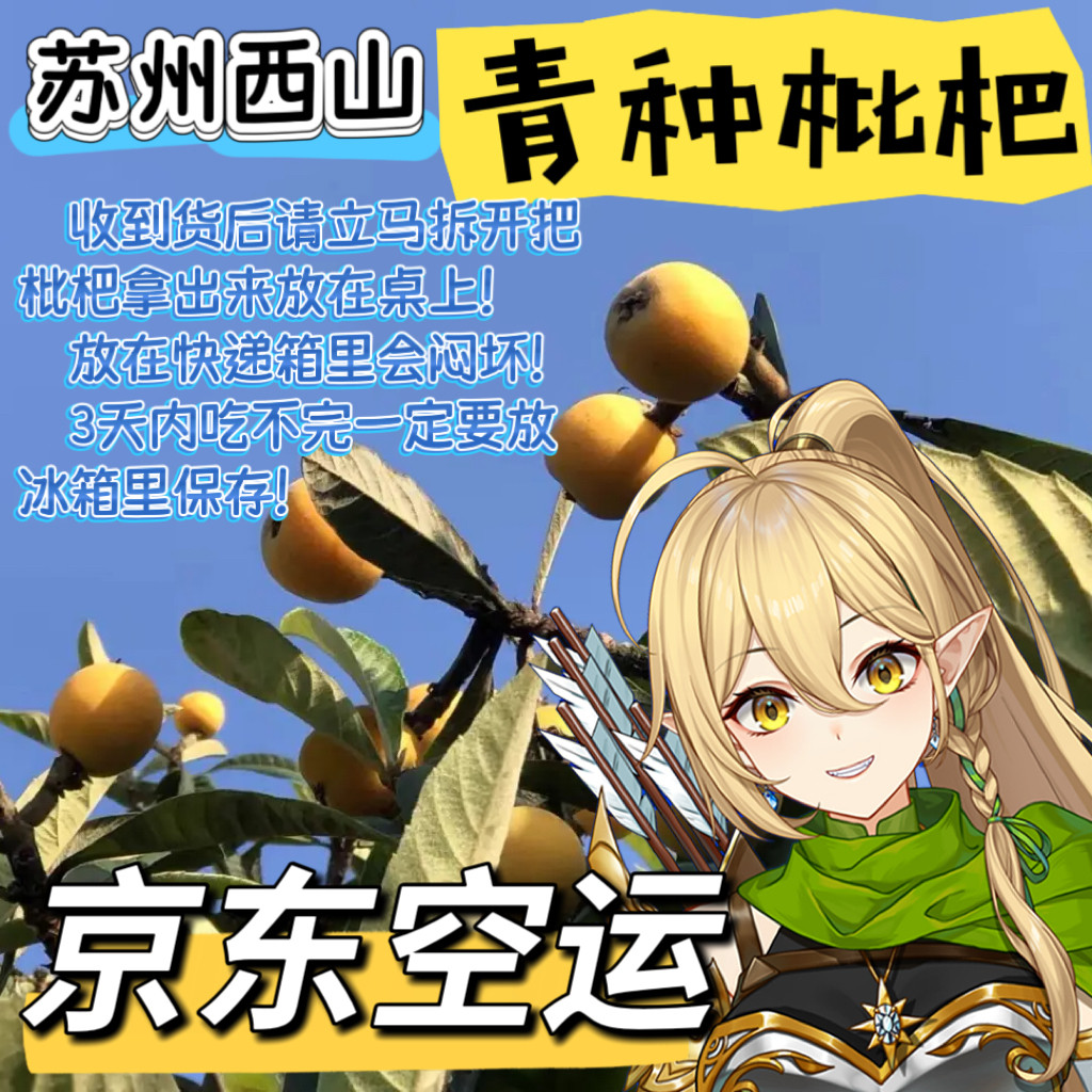 苏州西山秉场青种枇杷农户自产自销！京东快递链接