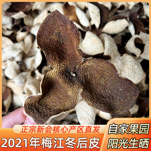 2021年新会梅江冬后大红皮老树圈枝柑正宗广东特产新会陈皮干泡水