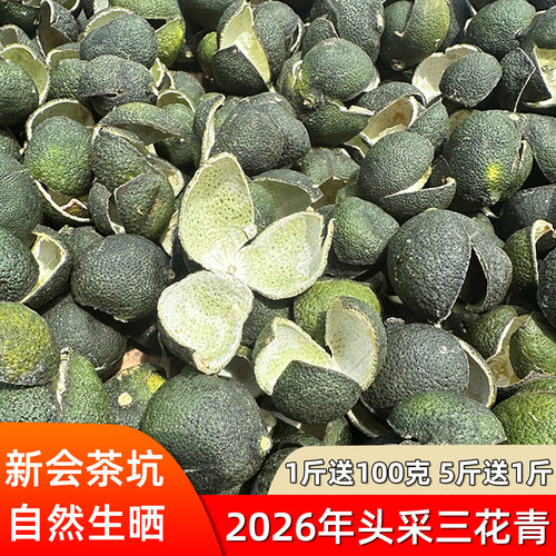 2026年茶坑三花青新皮新会茶枝柑