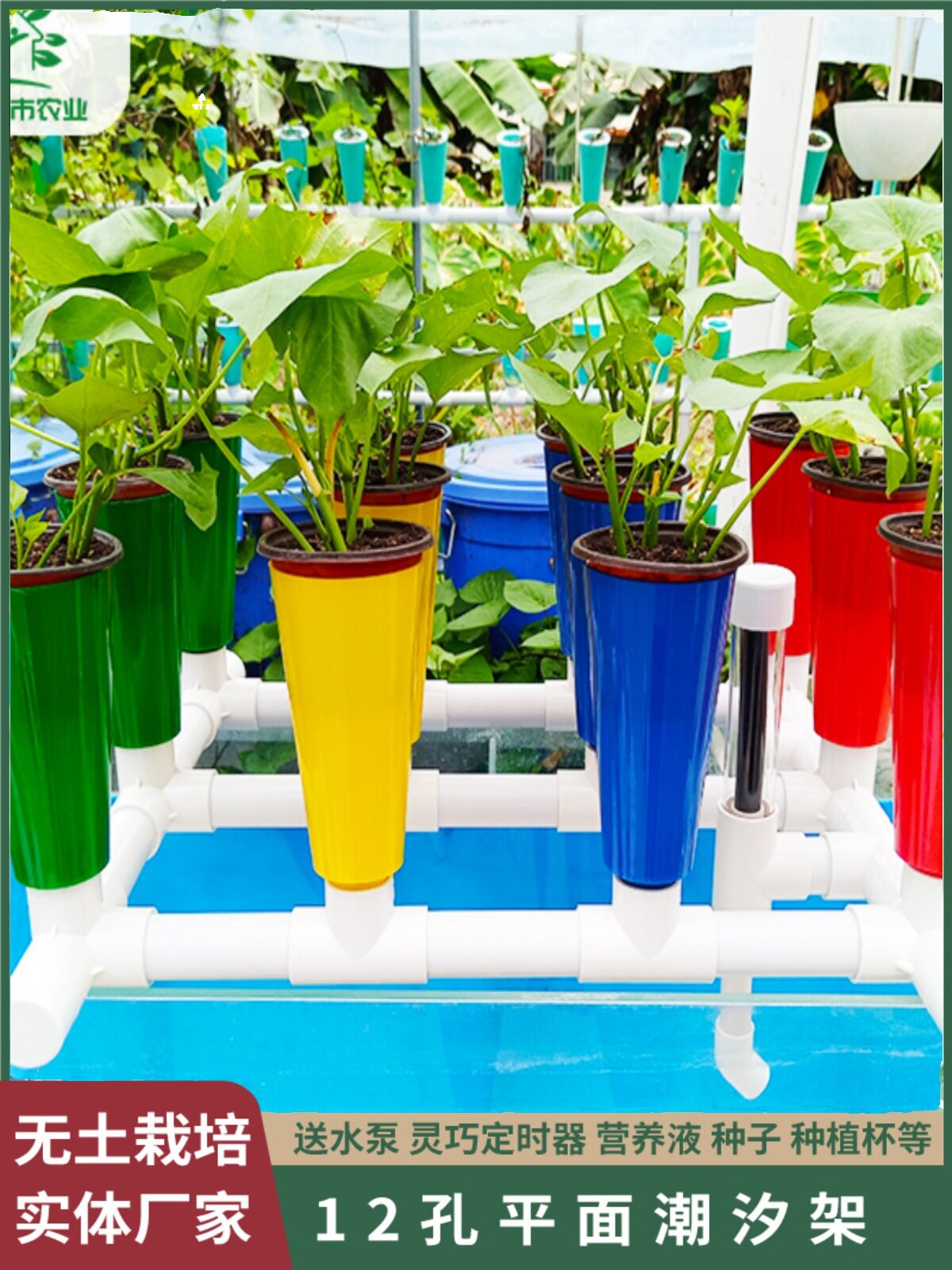 鱼菜共生虹吸设备阳台免换水过滤系统蔬菜鲜花潮汐种植架