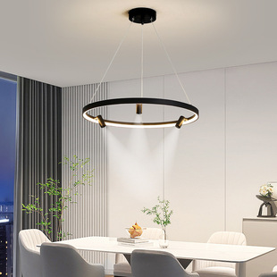 餐厅吊灯2025新款创意个性艺术客厅主灯店铺商用家用感书房灯
